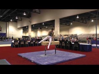 Kevin Wolting  -  Pommel Horse - 2016 Winter Cup Prelims