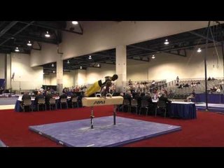 Emyre Cole - Pommel Horse - 2016 Winter Cup Prelims