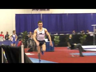 Dmitri Belanovski - Vault - 2016 Winter Cup Finals