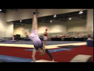 Nicholas Merryman - Vault - 2016 Winter Cup Prelims