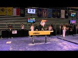 Gage Dyer -  Pommel Horse - 2016 Men's Junior Olympic Championships