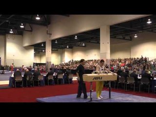Dmitri Belanovski - Pommel Horse - 2016 Winter Cup Finals