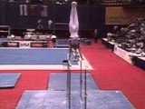 Bill Roth - Parallel Bars - 1995 Visa Gymnastics Challenge - Men