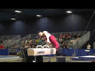 Peter Daggett - Pommel Horse - 2017 Winter Cup Prelims