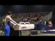 Addison Chung - Pommel Horse - 2017 Winter Cup Prelims