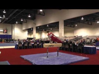 Allan Bower Pommel Horse - 2016 Winter Cup Prelims