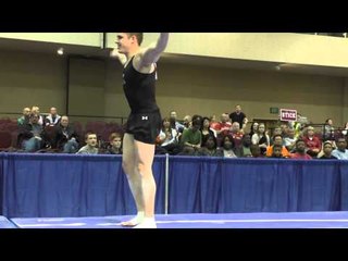 Chris Brooks - Vault - 2015 Winter Cup Prelims