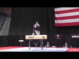 Donnell Whittenburg - Pommel Horse - 2016 P&G Championships - Sr. Men Day 1