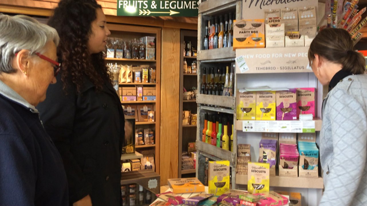 Des insectes dans l'assiette !