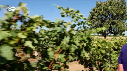 En la práctica: Volkswagen Crafter | Al volante