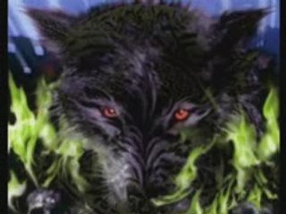 2º sesion wolf