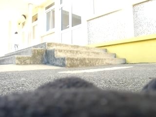 ollie skateboard