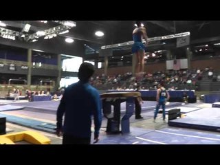 Fabian DeLuna - Vault - 2013 Winter Cup Prelims