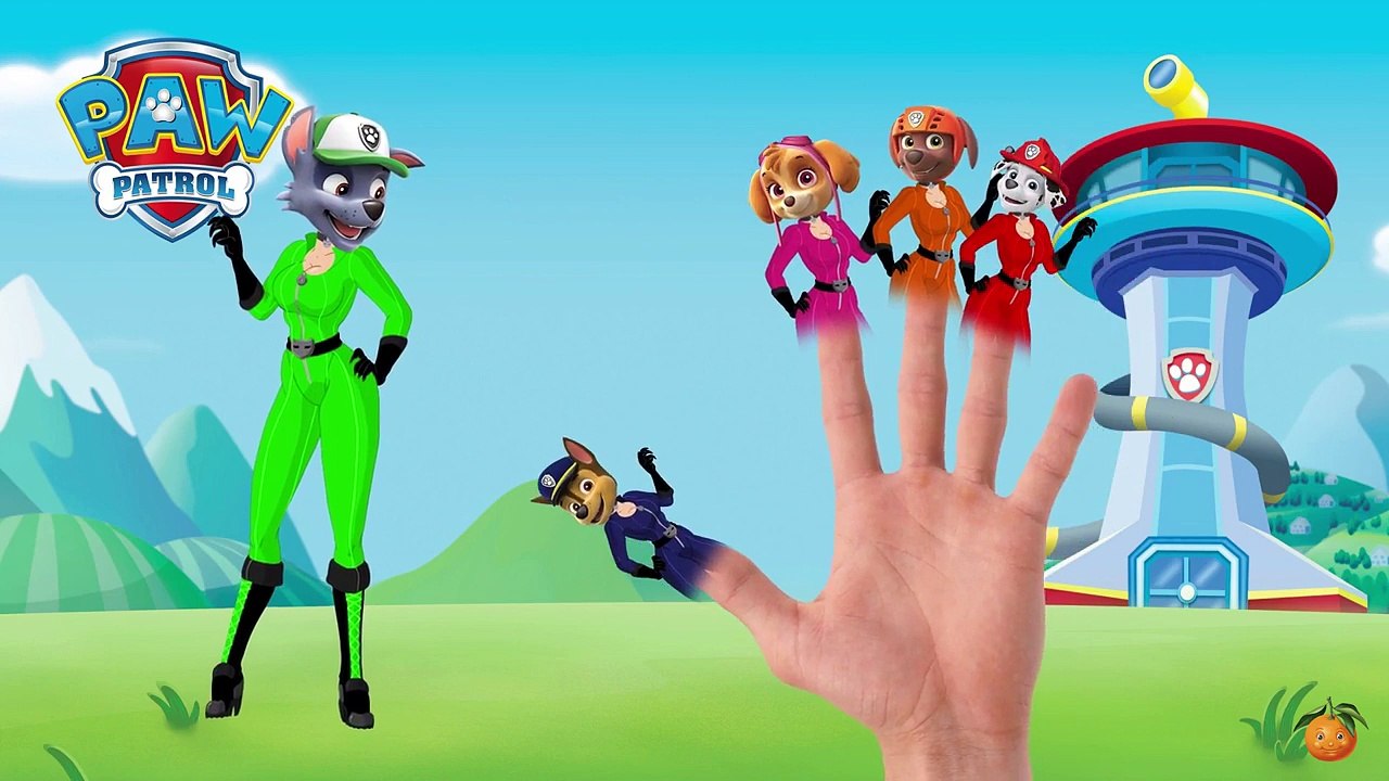 La Patrulla canina se disfraza Gatúbela La Familia Dedo Canciones infantiles en español para ninos