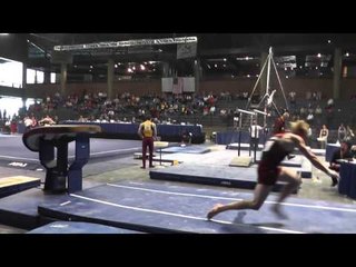 Cameron Foreman - Vault - 2013 Winter Cup Prelims
