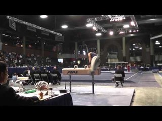Trevor Howard - Pommel Horse - 2013 Winter Cup Prelims