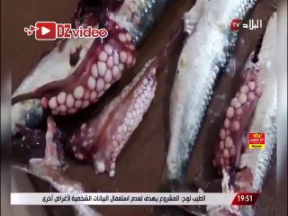 Des graines dans les œufs des sardines!