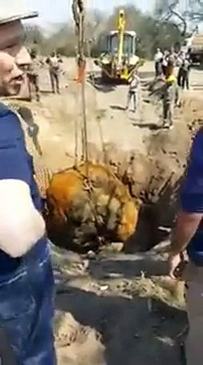 Voici la 2eme plus grosse météorite du monde, découverte en Argentine