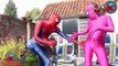 Spiderman WATER SLIDES CHALLENGE! Pool w/ Spidergirl Big Butt Amazing Superheroes Movie in Real Life