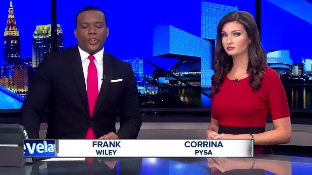 Woman finds her dog shot by arrow – is stunned when she sees a detail on the shaft