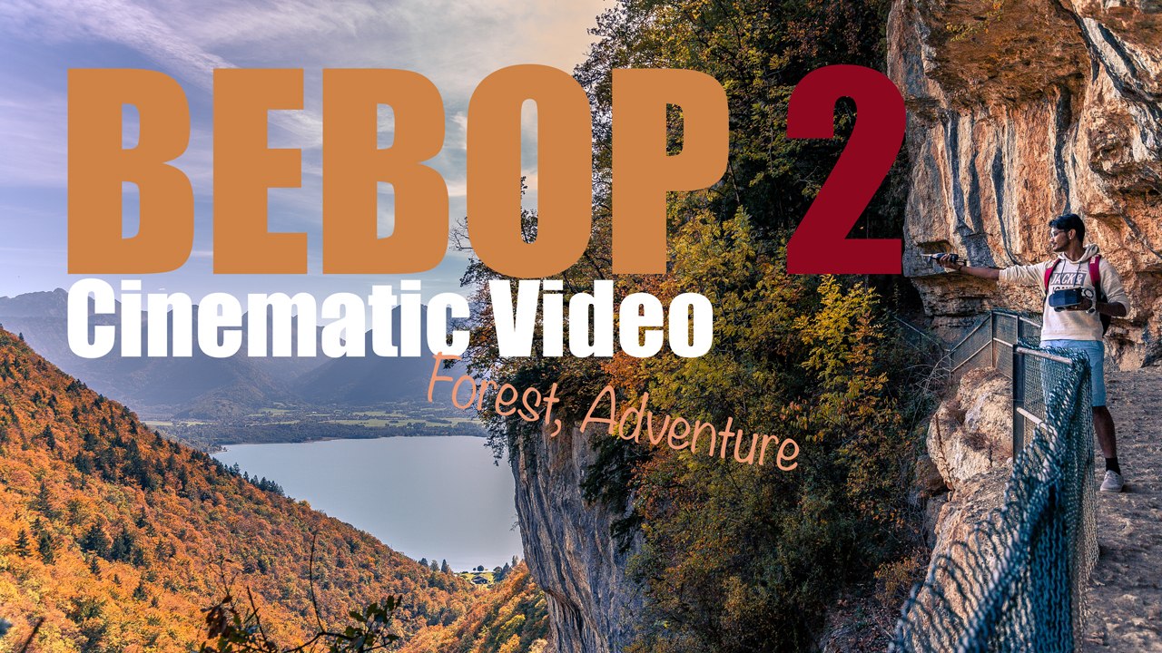 BEBOP 2 - Cinematography - Forest Adventure French Alps