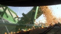 Four John Deere S670 Combines Harvesting Corn