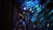 Avatar Flight of Passage queue walkthrough and pre-show inside Pandora at Disneys Animal Kingdom