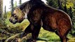 10 Animals Humans Made Extinct