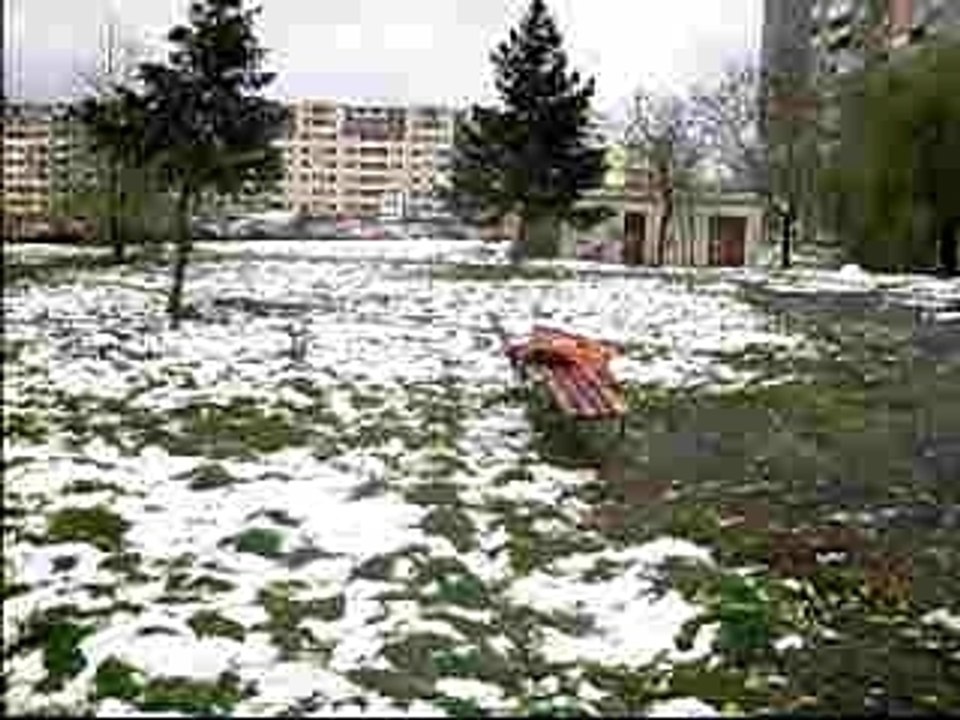 r0v3r side flip