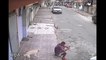 En pleine rue, ce chien se fout totalement de la gueule de ce mec
