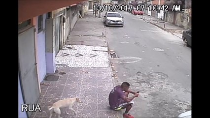 En pleine rue, ce chien se fout totalement de la gueule de ce mec
