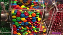 CANDY HUNT Sweets Jelly Belly,Giant Candy Sour Candy Gummy|B2cutecupcakes