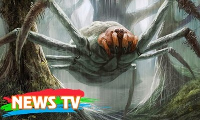 Truy tìm tông tích những quái nhện khổng lồ ăn thịt người thời cổ đại