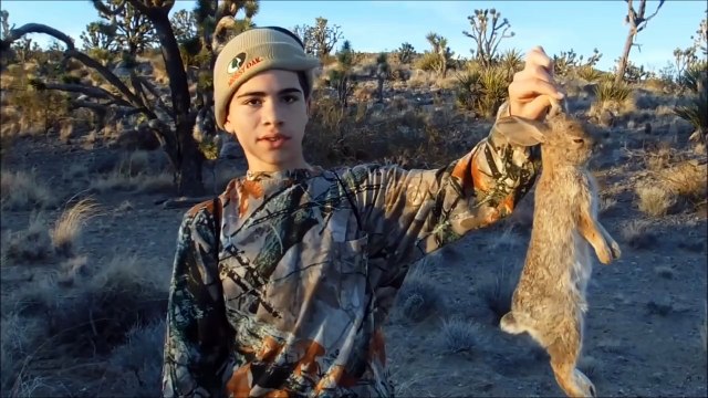 Catch and Cook: Red Ear Sunfish, Bass, and Bluegill Fishing at Lake Havasu Arizona Vid 2of3