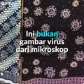 Batik Influenza