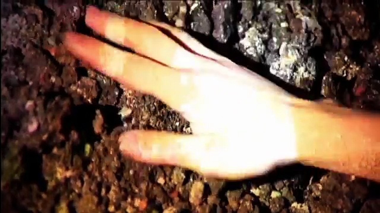 Bülent Bahadır Balcılar - Toprak