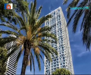 Turistas, vão embora