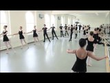 Ballet Barre extrs - London Russian Ballet School