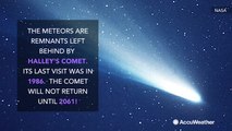 Orionids: The meteor shower from Halley's Comet