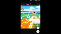 Pokémon GO Gym Battles Level 4 Gym Bulbasaur Charmander Squirtle Ivysaur Jolteon & more
