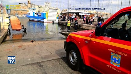 "Elle a fait un splash". Ce jeune homme raconte l'arrivée d'une baleine dans le port de Marseille
