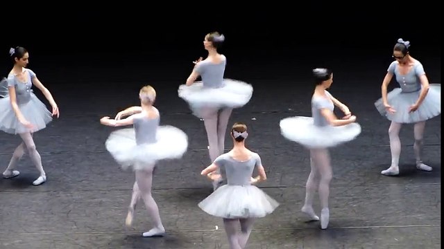 Vienna State Opera, funny ballet. Слава Украине!
