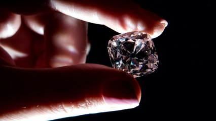 루이14세·나폴레옹 왕관 19캐럿 다이아몬드 경매 출품 / YTN