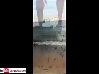 Funny cats, cute cats, funny dogs, funny animals funniest videos17