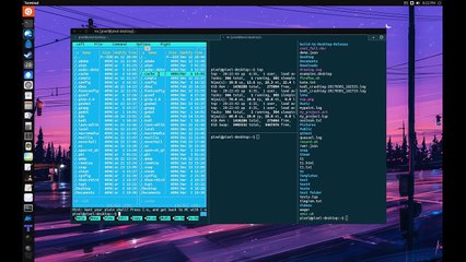 Unity 8   New Terminal   Virtual Desktops   Popescu Sorin   Anarchy  p