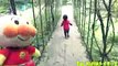 アンパンマン おもちゃ 富士サファリパークに行ったよpart３❤動物園 おでかけ Toy Kids トイキッズ anpanman