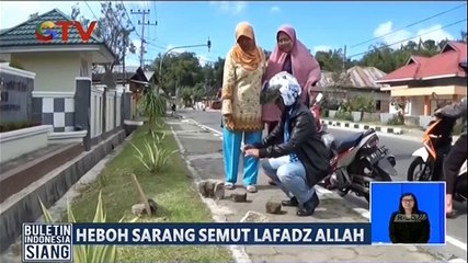 Heboh! Sarang Semut Berbentuk Lafadz Allah