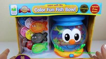 Peces de Colores - Color Fun Fish Bowl a Fun Way to Learn | Juguetes Interivos