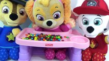 Baby Skye Marshall Chase PAW PATROL, Mr. Doh Eats McDonalds Happy Meal and M&Ms