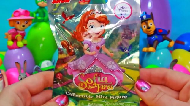 Patrulha Canina Herois de Pijama Brinquedos Ovos Surpresas Coloridos Paw Patrol Best Learning Colors